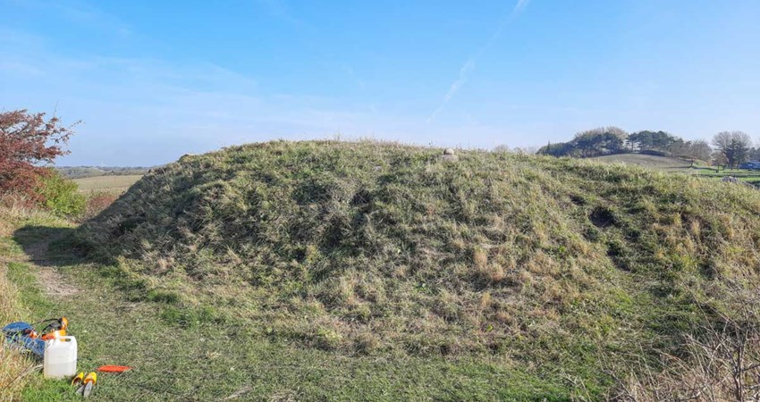 Stenbækhøjen 281021 (7).jpg