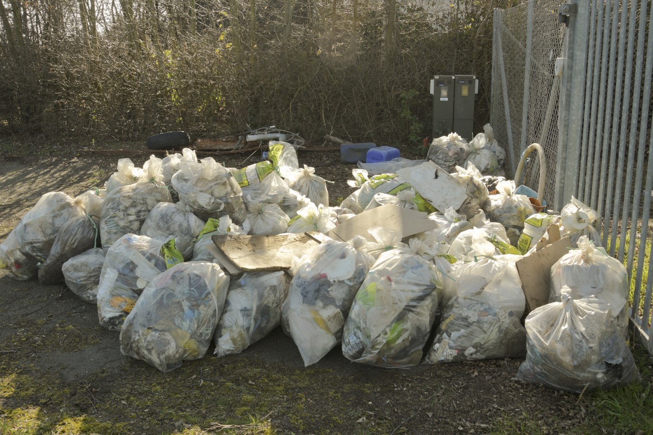 Affaldsindsamlingen 2019.